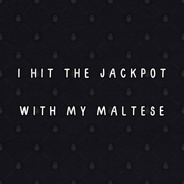 I hit the jackpot with my Maltese by Project Charlie